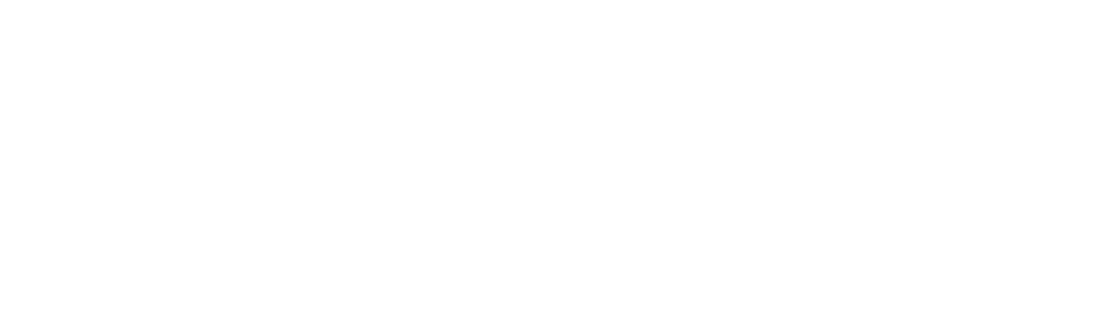 Tirmaster Logo transparent REV@4x